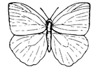 Malvorlage  Schmetterling