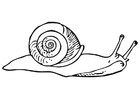 Malvorlage  Schnecke