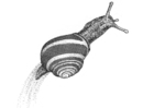 Malvorlage  Schnecke