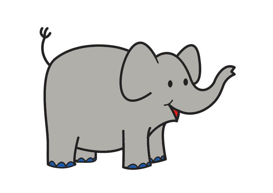 Bild elefant