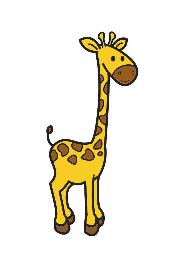 Bild giraffe