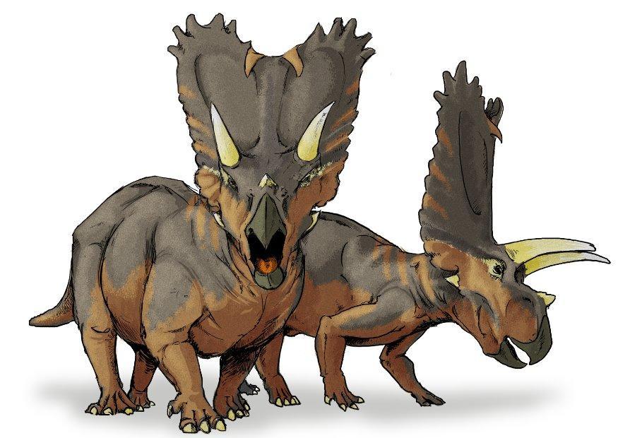 Bild pentaceratops dinosaurier