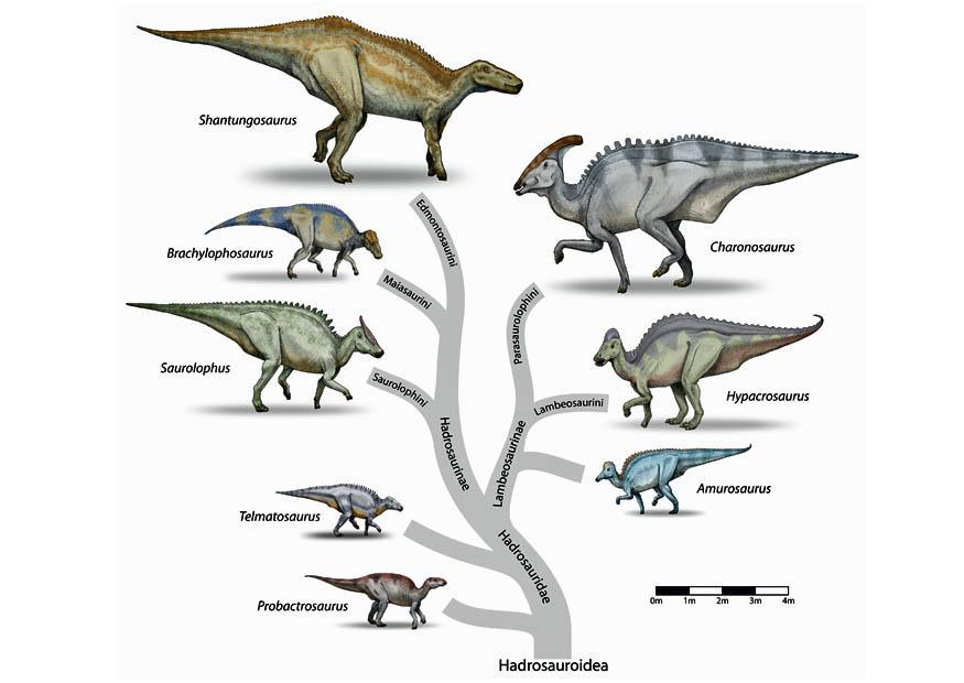 Bild saurier evolution