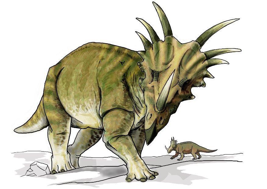 Bild styracosaurus dinosaurus