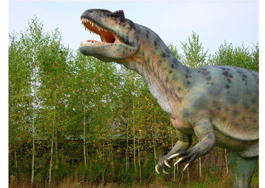 Foto allosaurus kopie