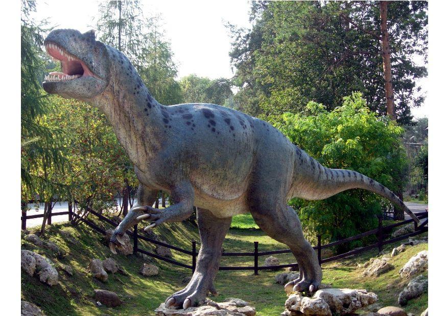 Foto allosaurus kopie