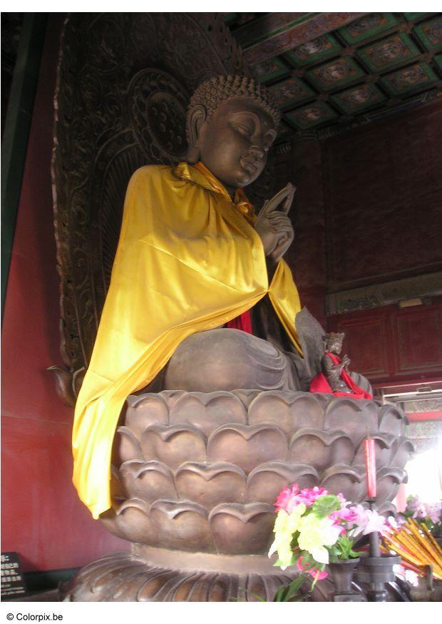 Foto budha im tempel