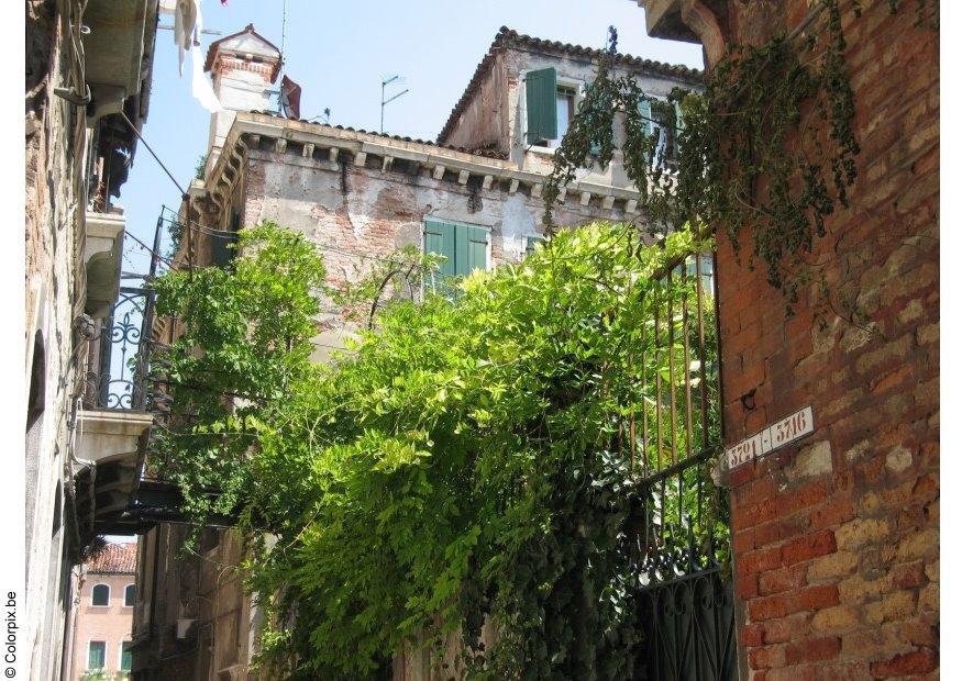 Foto gasse in der innenstadt