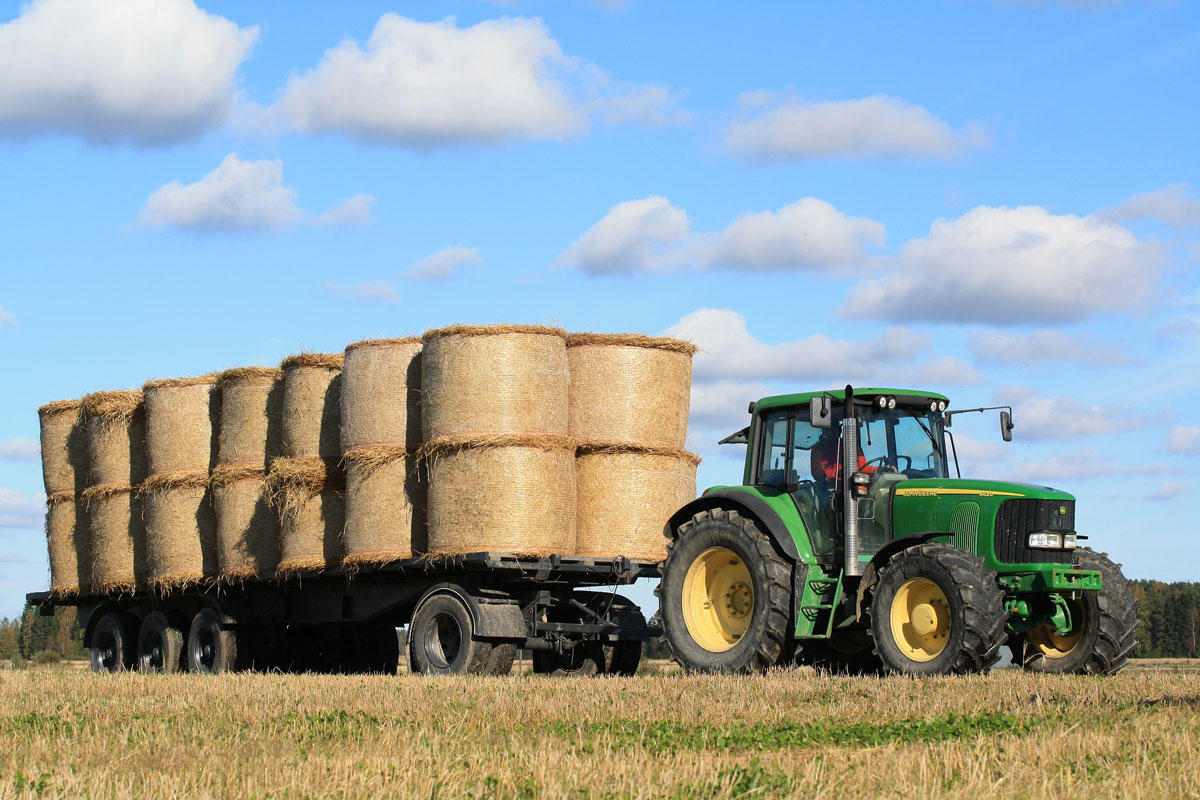 Foto landwirtshaft