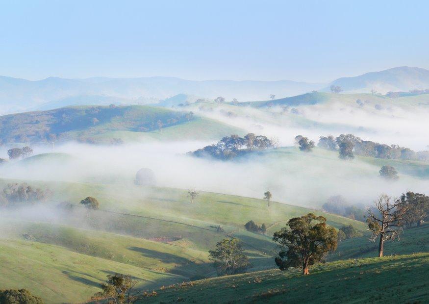 Foto morgennebel