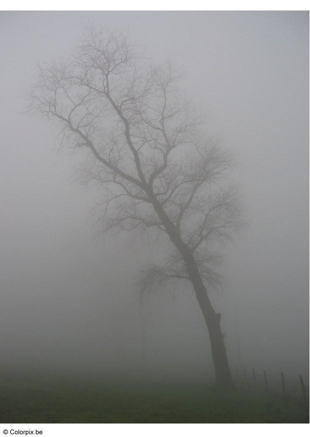 Foto nebel