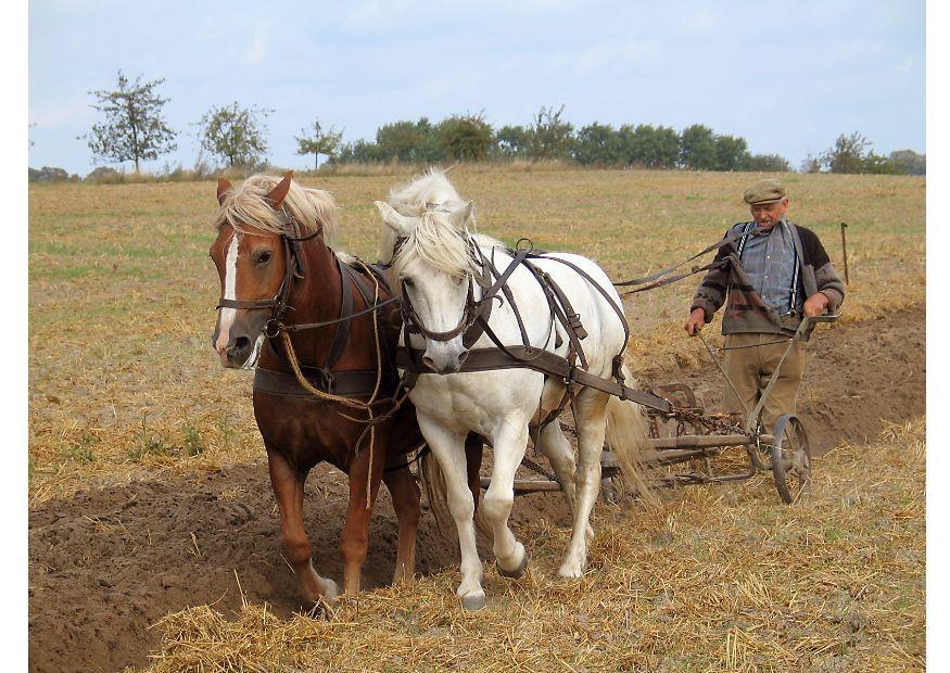 Foto pflA¼gender landwirt