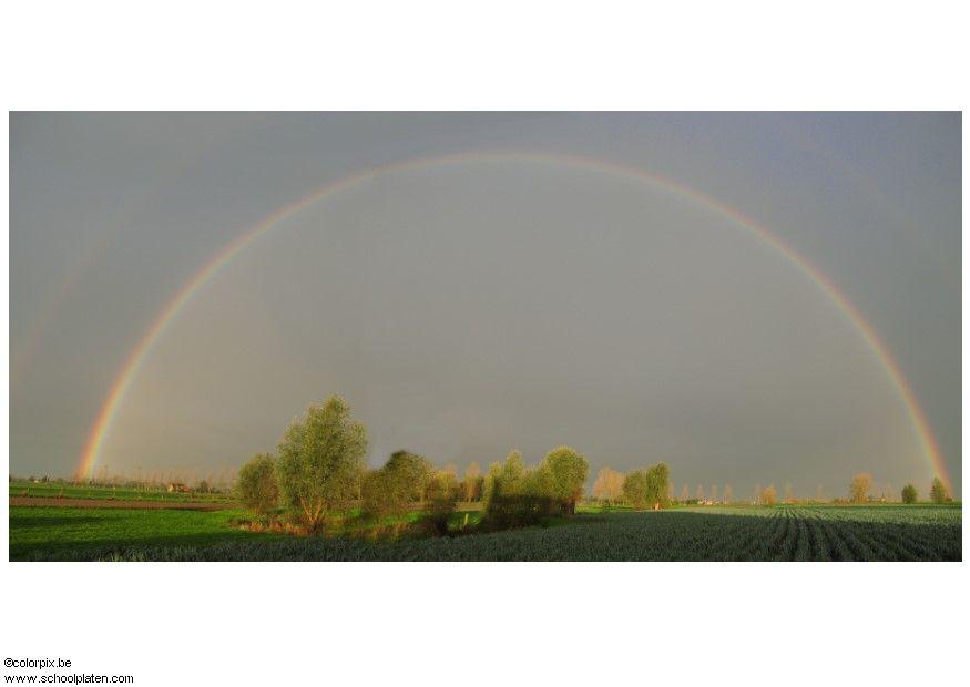 Foto regenbogen 1