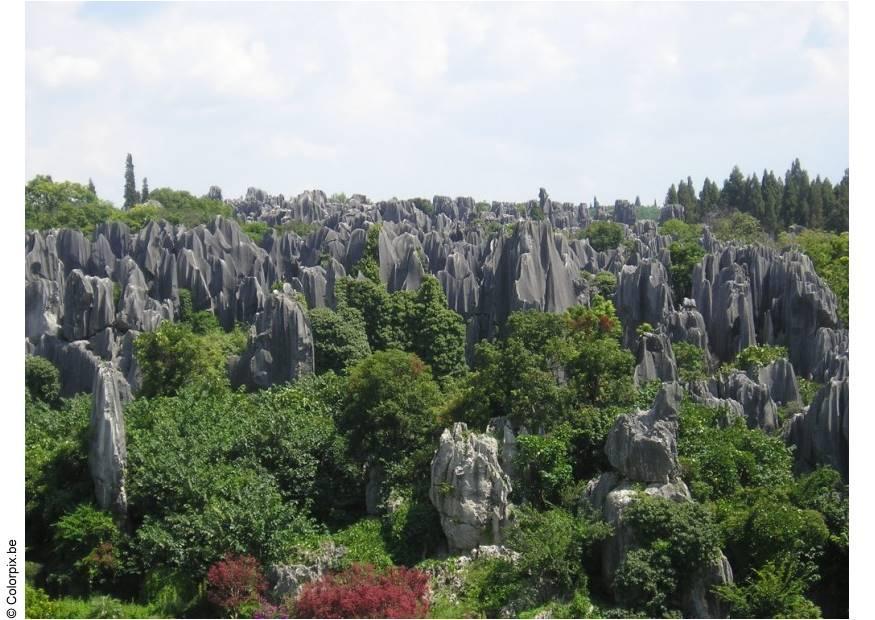 Foto steinerner wald kunming