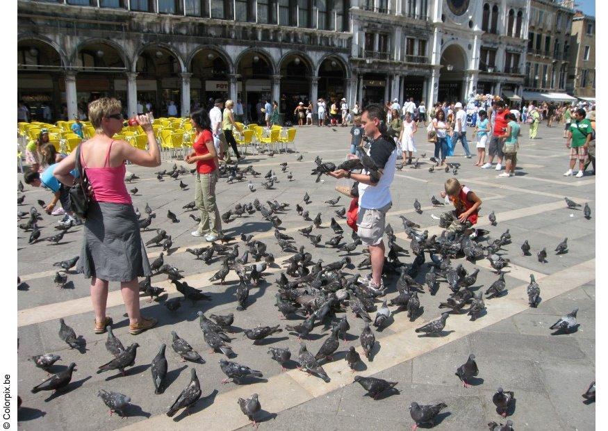 Foto tauben fA¼ttern auf dem san marco platz, venedig