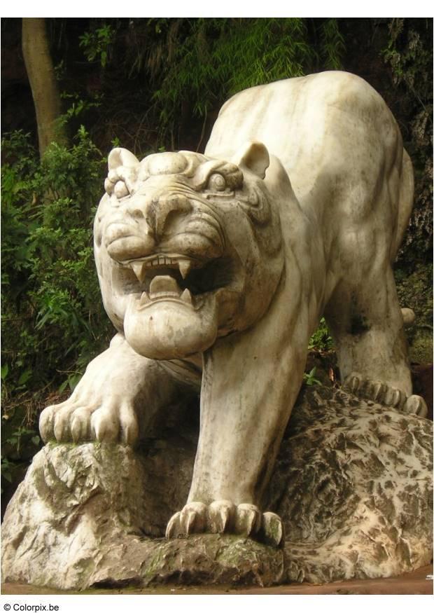 Foto tiger im park leshan