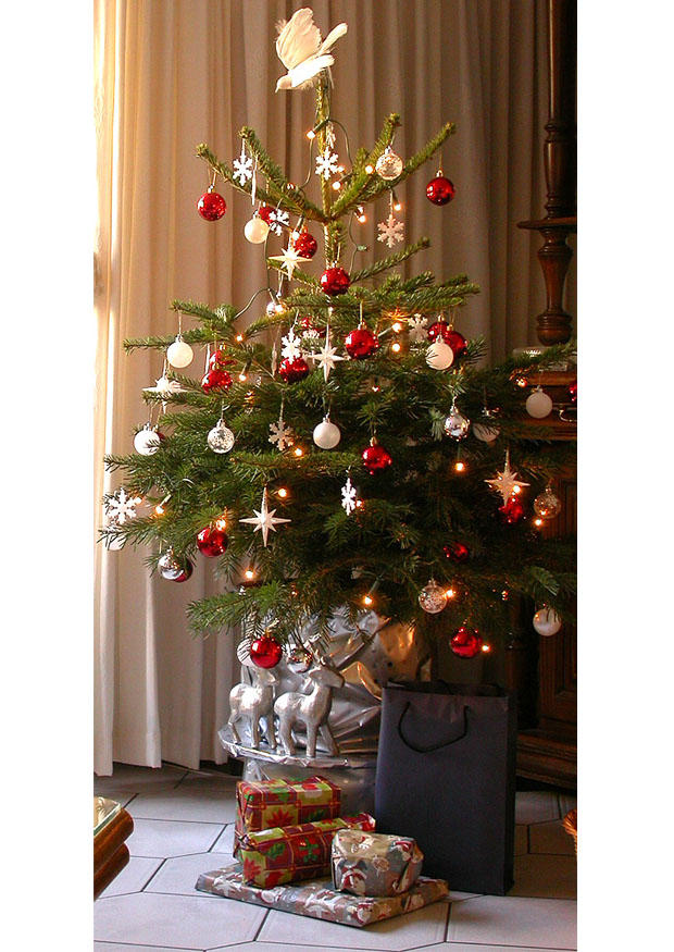 Foto weihnachtsbaum