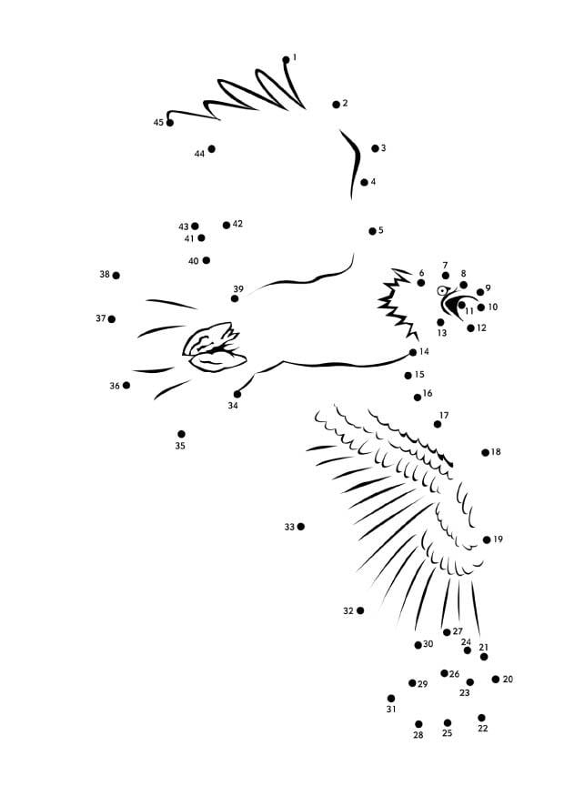 Malvorlage  amerikanischer seeadler