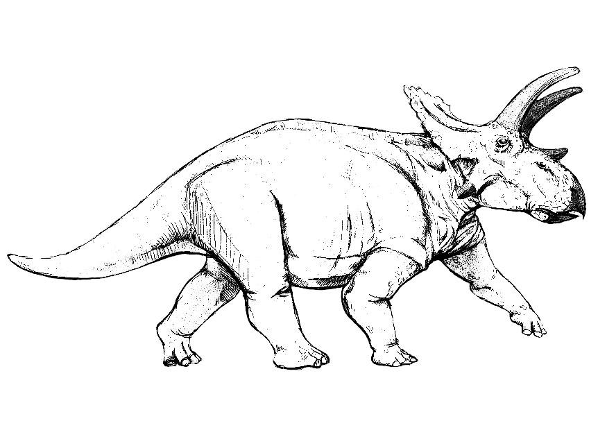 Malvorlage  anchiceratops dinosaurus