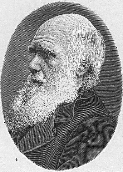 Malvorlage  charles darwin