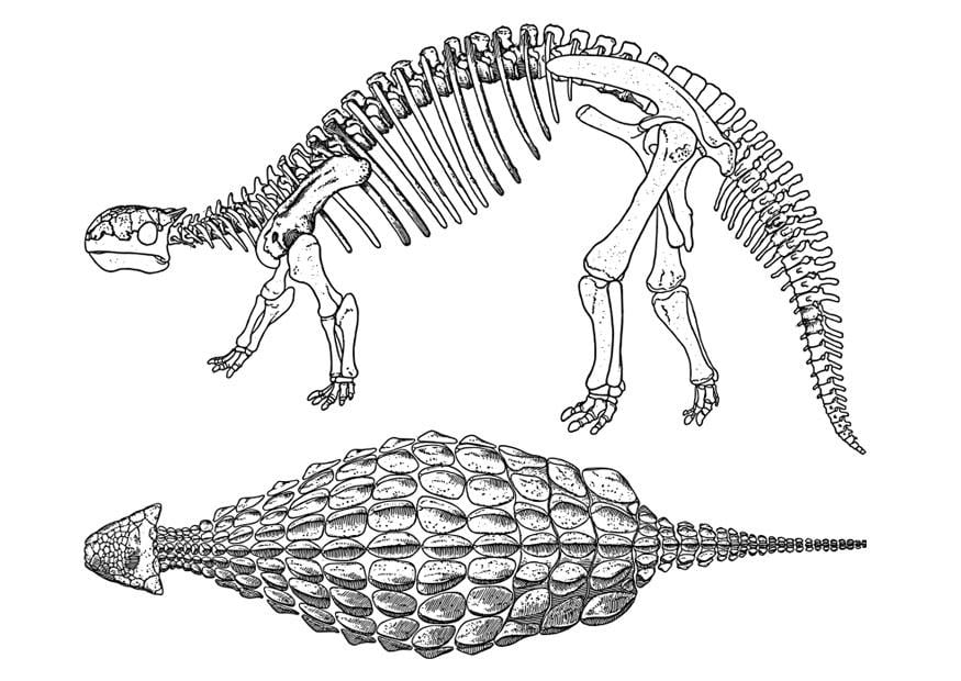 Malvorlage  dinosaurier - ankylosaurus