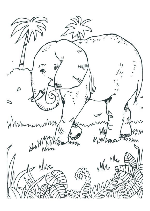 Malvorlage  elefant