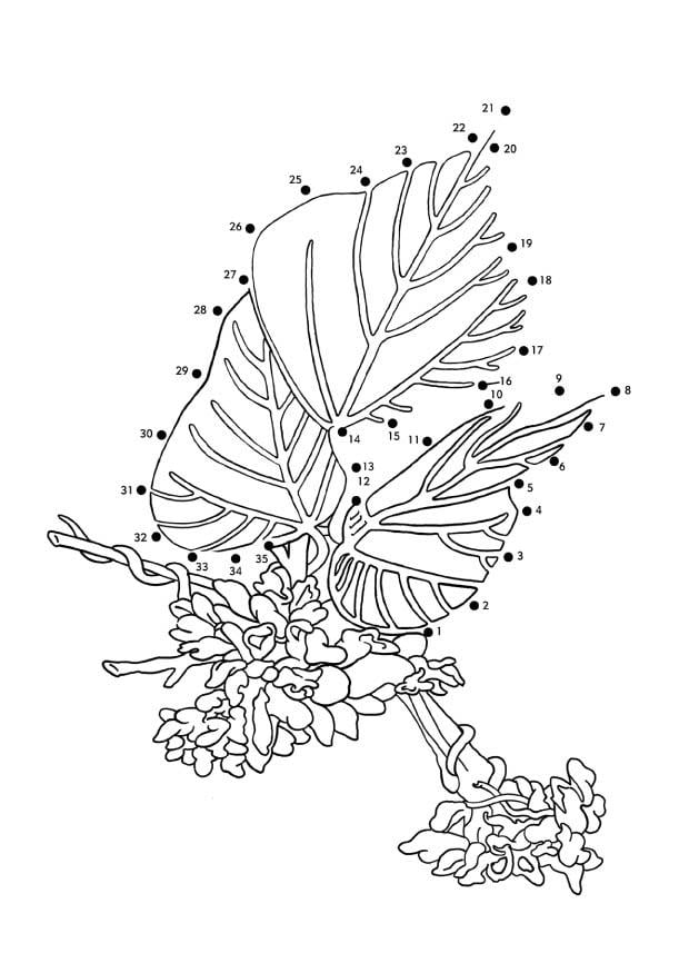 Malvorlage  kudzu