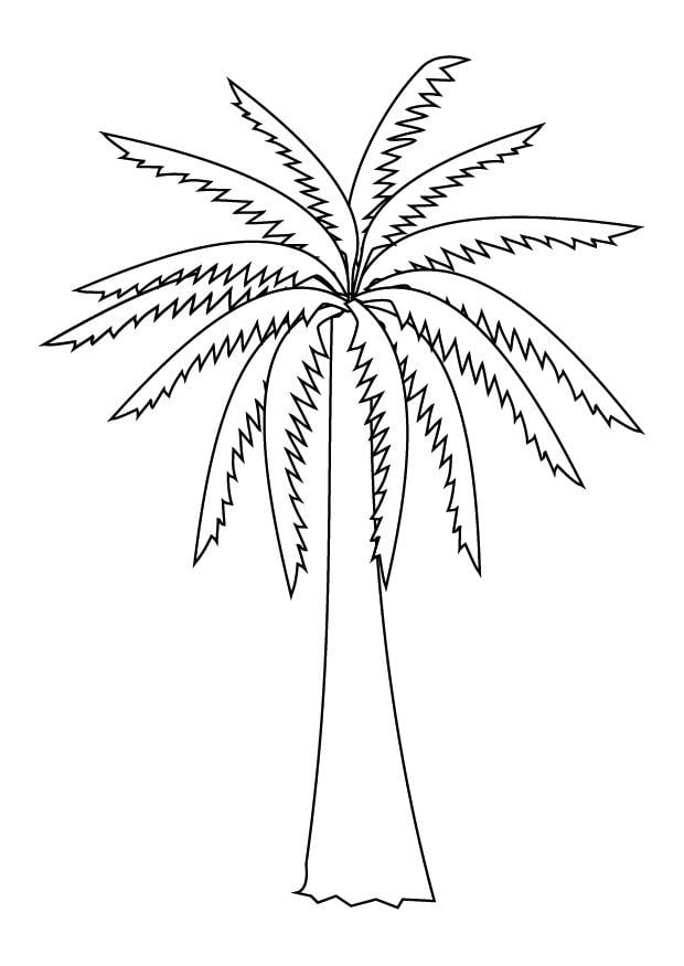 Malvorlage  palme