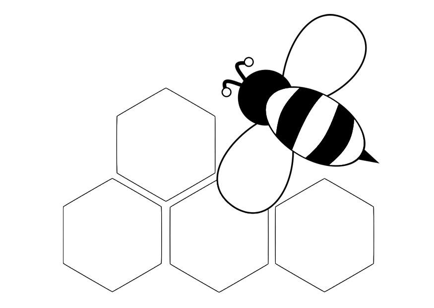 Malvorlage  rA¼ckansicht biene