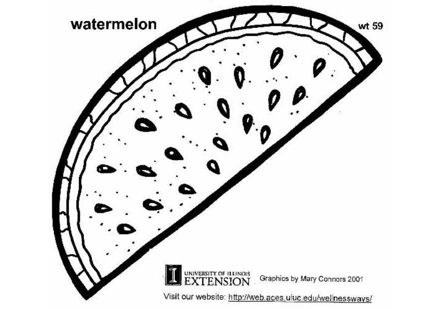 Malvorlage  wassermelone