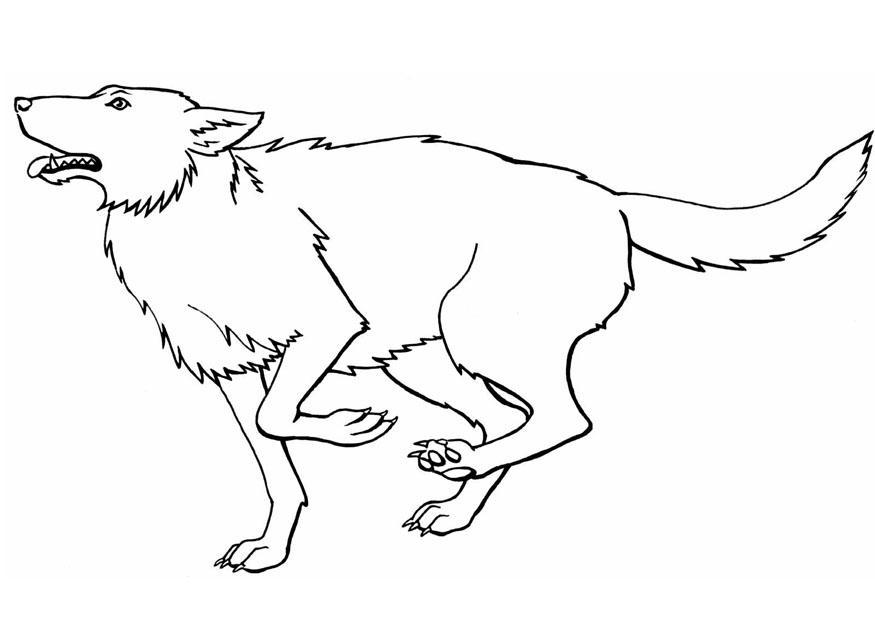 Malvorlage  wolf