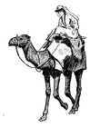 Malvorlage  Frau auf Kamel