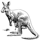 Malvorlagen Känguruh